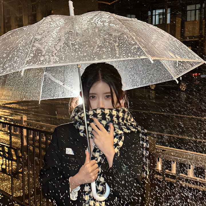 戊子风雪同仁堂